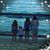 Karen Doxtader Sicara's profile image