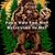 Michael Grunnet's profile image