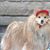 Nella Daniels's profile image