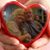 Terry Comer Parsons's profile image