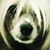 Jaana Piira's profile image