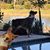 Sandy Dettlinger Theobald's profile image