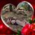 Lou Anne Steinmetz Dietrichson's profile image