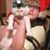 Tracey Kephart Morrison's profile image
