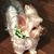 Terri Harmon's profile image