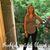 Karen Hawkins's profile image