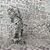 Brion Bellinger's profile image
