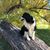 Mary Bleeker's profile image