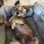 Lorene King's profile image