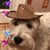 Steve Haffner's profile image