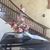 Sandi Richards Brackney's profile image