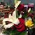 Lorri Donghia's profile image