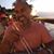 Mario Solares's profile image