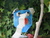 Sarah S.'s profile image