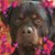 Stephanie Woodson's profile image