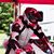 Rob Sterbutzel's profile image
