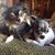Cindy Jenson's profile image