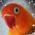 Wendy Edwards Collins's profile image