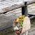 Tobin Frisinger's profile image