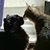 DavidandVickie Young's profile image