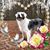 Carrie Boyer McKee's profile image