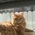 Kerry Engber's profile image
