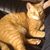 Muriel Clemons's profile image