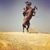 Ayman Pharaoh's profile image