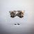 David Van De Car's profile image