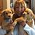 Pam Pyykko Shore's profile image