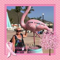 Debbie Webster's profile image