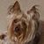 Linda Turkette's profile image