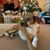Cheryl Finke Callon's profile image