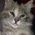Sue Schnitz's profile image