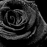 Debby A.'s profile image