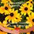 Corinne Hahne Havens's profile image
