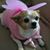 Roxann Goshorn Massey's profile image