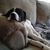 John Gioe's profile image