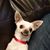 Jorge Gonzalez's profile image