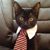 Dickie Manshatz's profile image