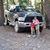Brandin Stout's profile image