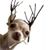 Cheri Turner's profile image