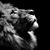 Jason W K Small's profile image