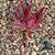 Debi Masters Stackhouse's profile image