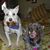 KatieLily Wesche's profile image