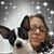 Debbie Bokser Williams's profile image