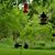 Caryl Woolard's profile image