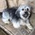 Angela Galbreath's profile image