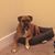 Susan Garrett Hevey's profile image