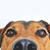 Kathryn Primm Gressett's profile image